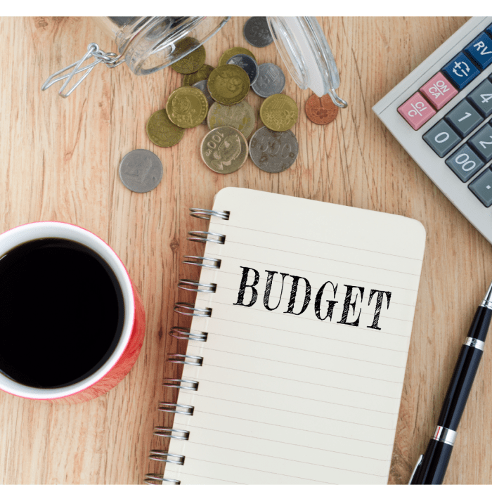 Budgeting thebudgetmom expenses binder expense spreadsheet finances pcs bills organizing clutter