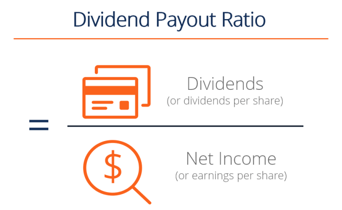 Dividend payout yield investopedia differ jiang sabrina